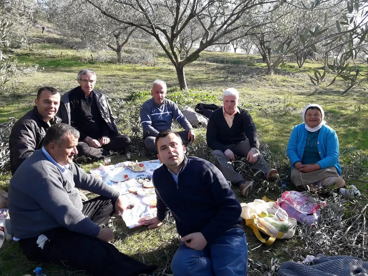 Mediterranean Organic Farms — photo 3