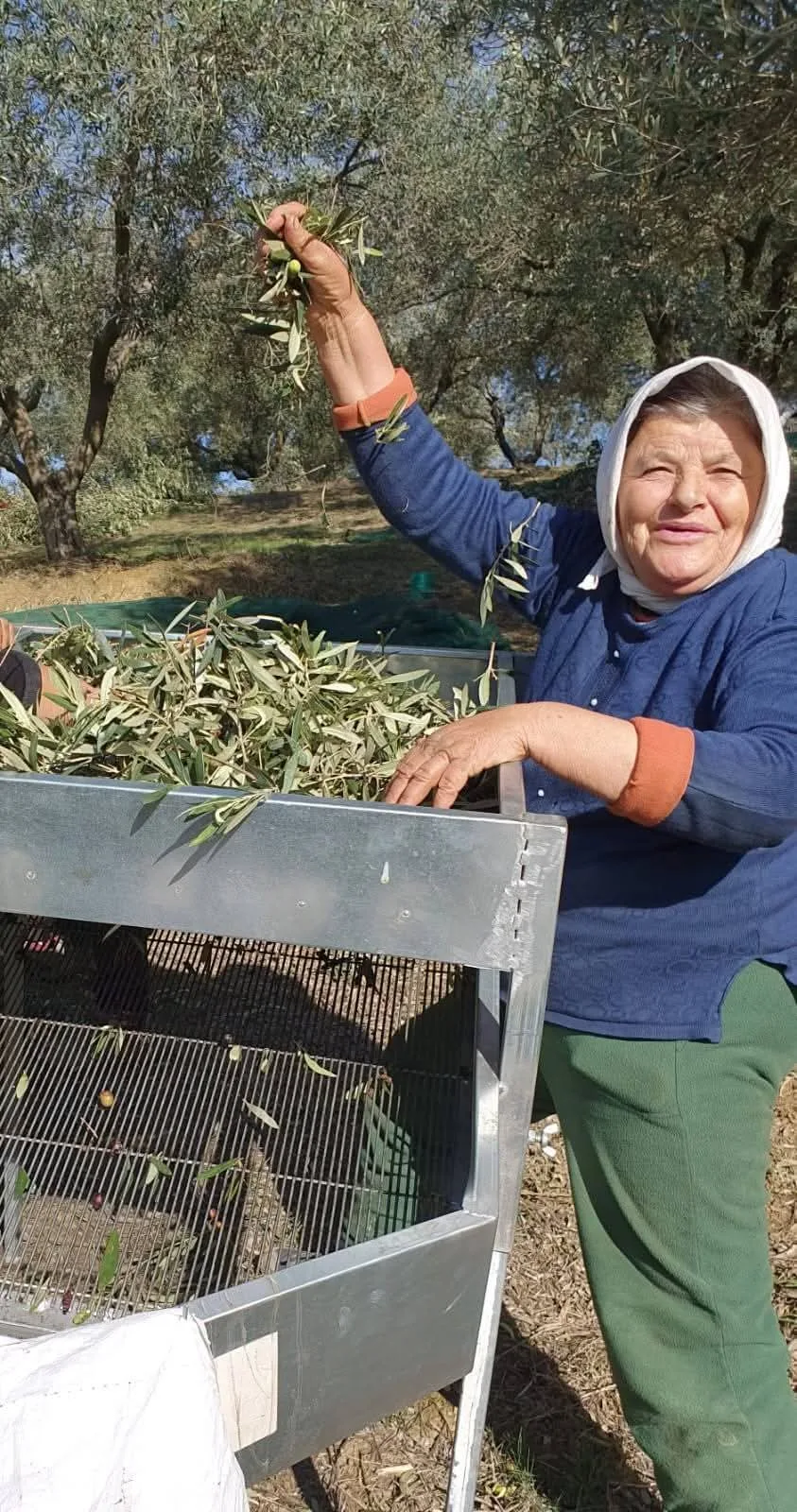 Mediterranean Organic Farms — photo 19