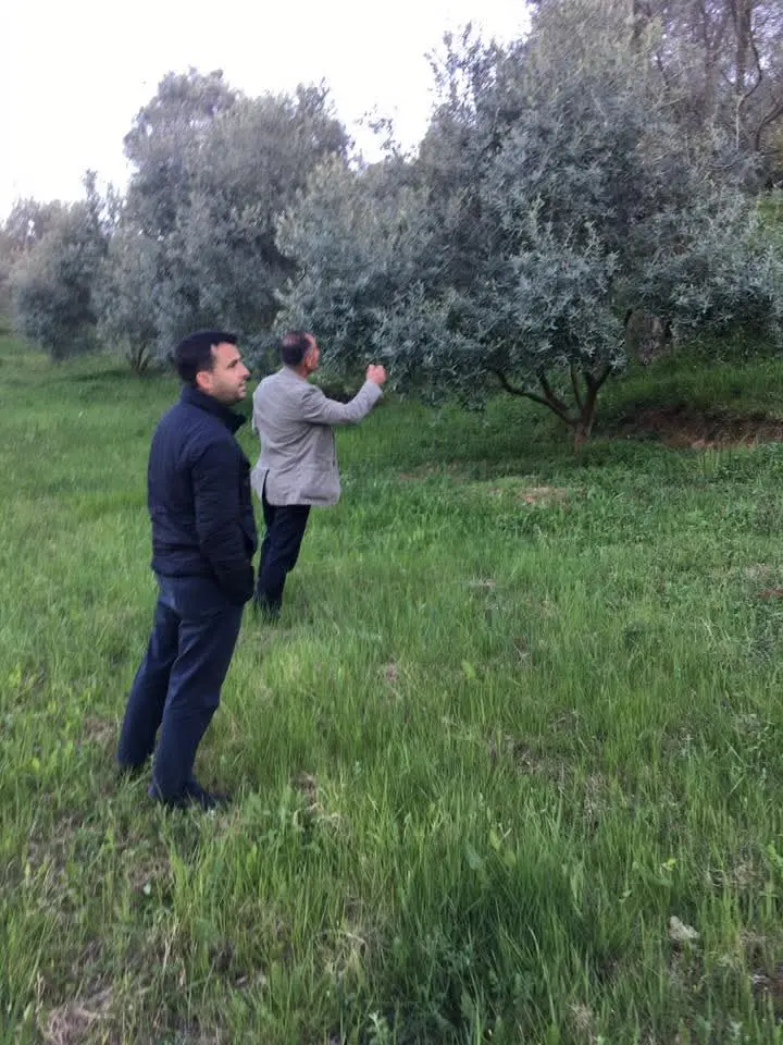 Mediterranean Organic Farms — photo 25